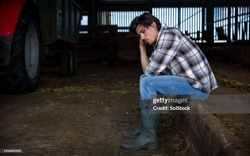 Facing Challenges on the Farm