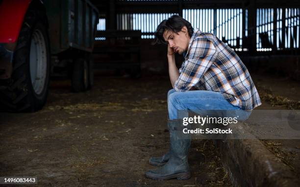 Spring Farm Sad 2,118 Sad Farm Stock Photos, High-Res Pictures, and Images - Getty Images