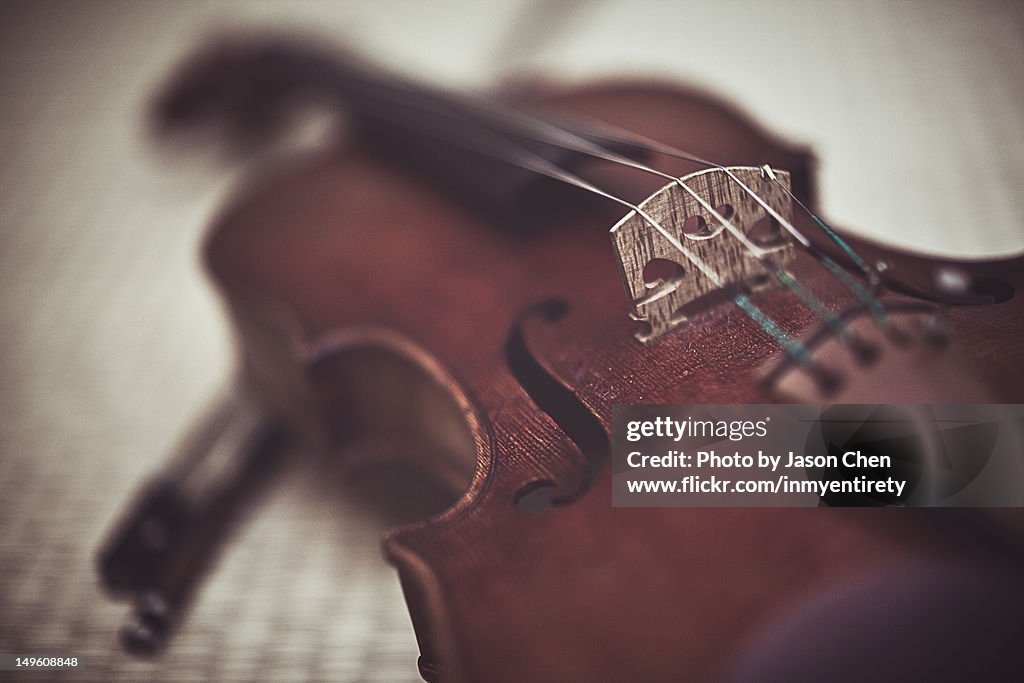 Violin