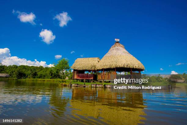 peruvian jungle. tingo maria - iquitos fotografías e imágenes de stock