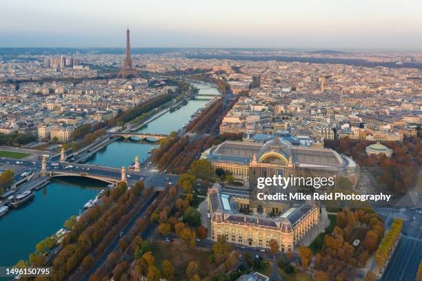 aerial paris seine river grand and petit palais and eiffel tower - petit palais - fotografias e filmes do acervo