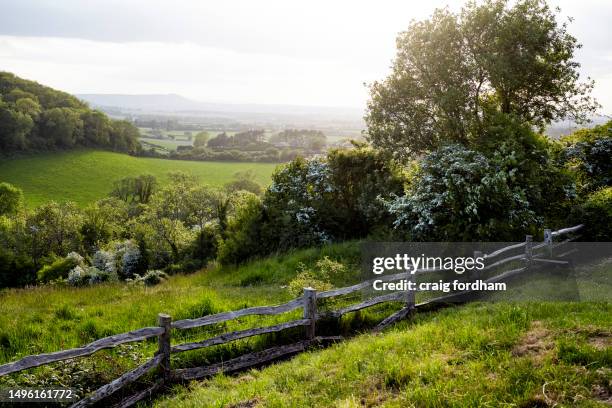 this is england. spring - south downs national park stock pictures, royalty-free photos & images