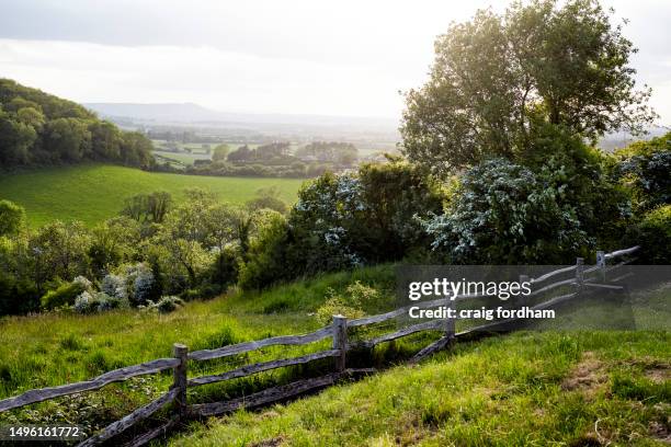 this is england. spring - rural scene stock pictures, royalty-free photos & images