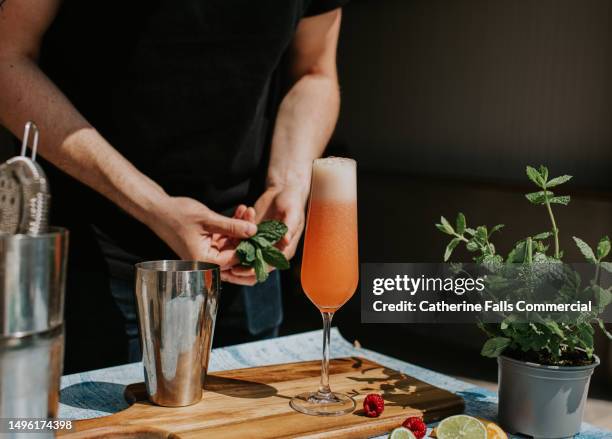 a mixologist prepares a delicious fruit cocktail, garnished with mint. - raspberry cocktail stock pictures, royalty-free photos & images