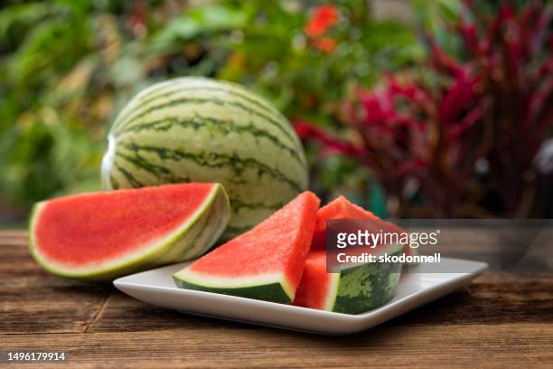 watermelon slice in the summer - watermelon stock pictures, royalty-free photos & images