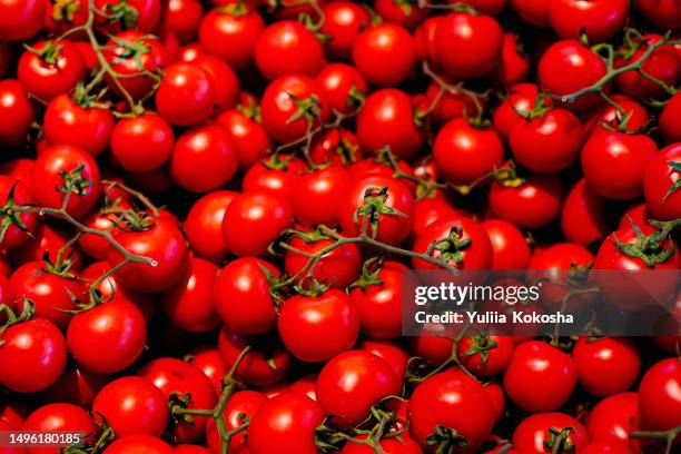 red tomatoes background. group of tomatoes close-up - tomate fotografías e imágenes de stock