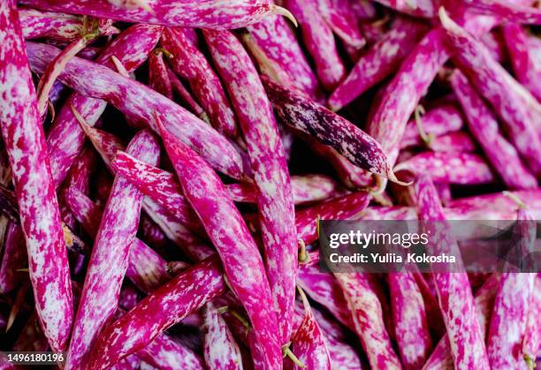 pods of red beans close-up. bean pods background. view from above. close-up red beans background. - asparagus stock pictures, royalty-free photos & images