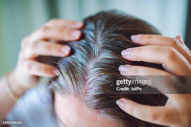 erwachsene frau, die silberne haare färbt - färbemittel stock-fotos und bilder