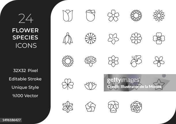 ilustraciones, imágenes clip art, dibujos animados e iconos de stock de conjunto de iconos de línea de especies de flores - carnation flower