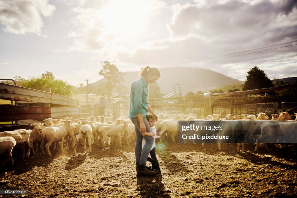 Sustainable Farming in Australia
