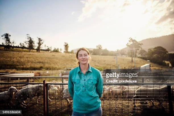 schafzucht im malerischen tasmanien - farmer female confident stock-fotos und bilder