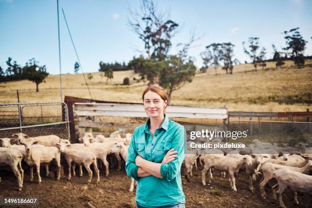 美しさと勤勉さのバランス:タスマニアの羊飼いで活躍する女性農家 - farmer australia ストックフォトと画像