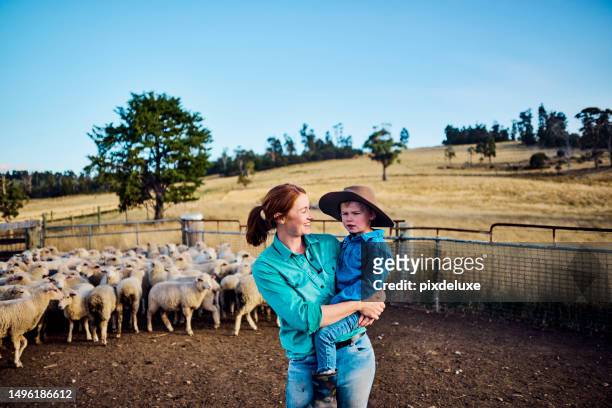 sheep farming in the scenic tasmania - australian female stock pictures, royalty-free photos & images