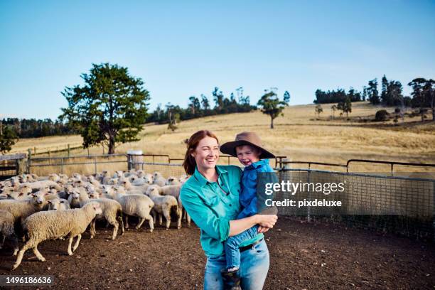 sheep farming in the scenic tasmania - australian farmer stockfoto's en -beelden