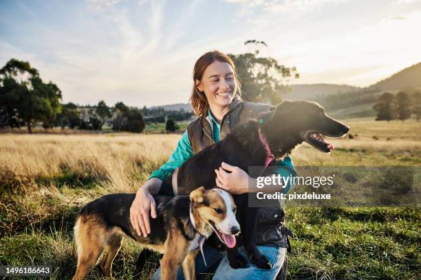 オーストラリアのタスマニア州の田舎にある農場の若い女性農家。 - farmer australia ストックフォトと画像