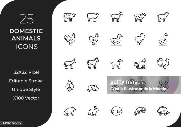 illustrazioni stock, clip art, cartoni animati e icone di tendenza di set di icone della linea degli animali domestici - bestiame