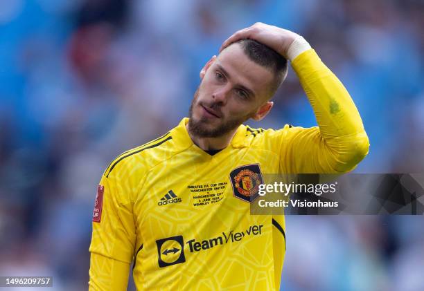 David de Gea of Manchester United reacts after losing the Emirates FA Cup Final between Manchester City and Manchester United at Wembley Stadium on...