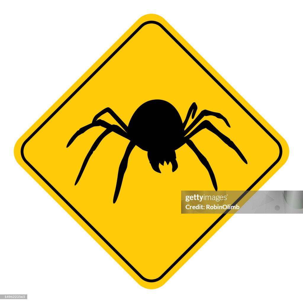 Spider Road Sign High-Res Vector Graphic - Getty Images