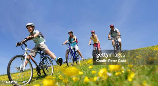 family cycling downhill in field - fahrradausflug stock-fotos und bilder