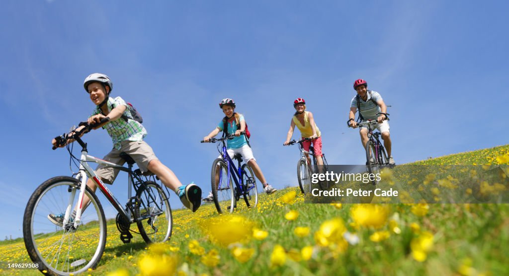 Family Cycling Downhill In Field High-Res Stock Photo - Getty Images