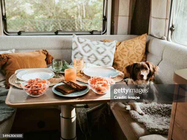 caravan camping lifestyle with dinner served and dog - entourage stock pictures, royalty-free photos & images