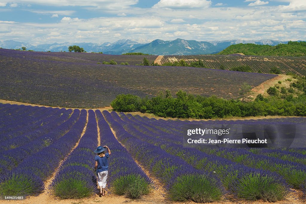 A woman in a lavender field, Provence, France