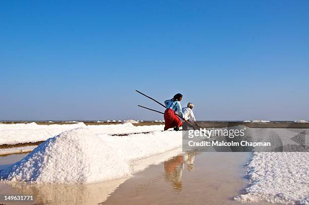The Little Rann of Kutch, Gujarat, India, is famous for its unique salt-pans where salt is harvested by local tribes. Taken near Dhrangadhra.