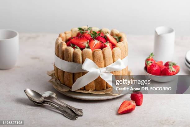 homemade strawberry charlotte cake with biscuits, ream and fresh fruits - charlotte wood stock pictures, royalty-free photos & images