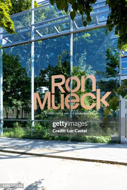 General View of the Exhibition of Artist Ron Mueck at Fondation Cartier on June 06, 2023 in Paris, France.