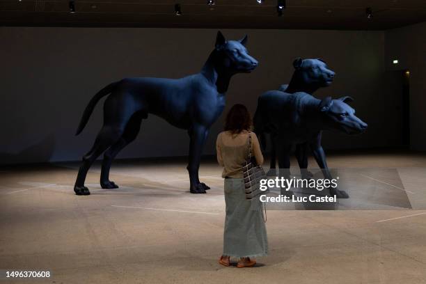View of the Work Three Dogs, 2023 of Artist Ron Mueck at Fondation Cartier on June 06, 2023 in Paris, France.