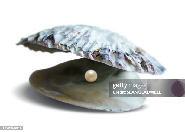 pearl inside shell - huitre-perliere photos et images de collection