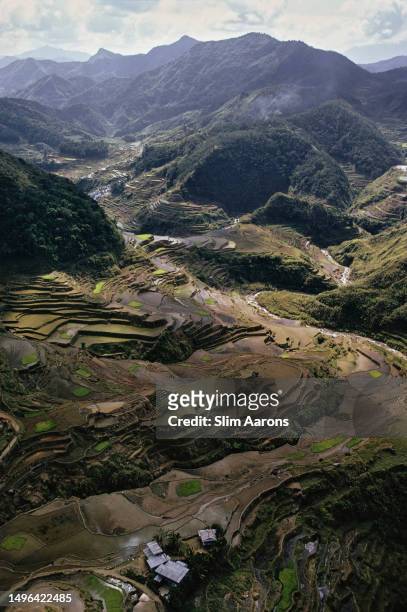 High angle view of rice terraces in Luzon, Philippines, 1973.