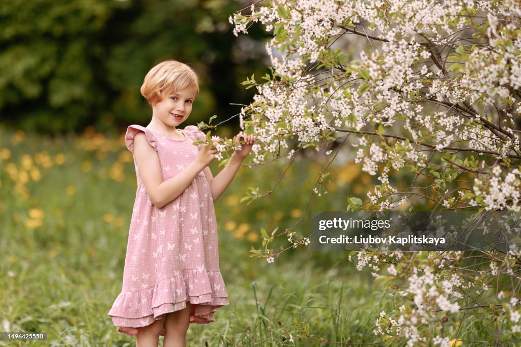 A child of 8 years old in a dress stands near a blooming apple tree in the garden.