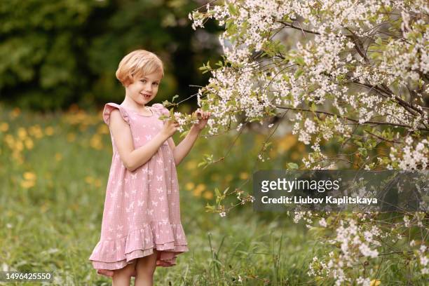 a child of 8 years old in a dress stands near a blooming apple tree in the garden. - 8 9 years stock pictures, royalty-free photos & images