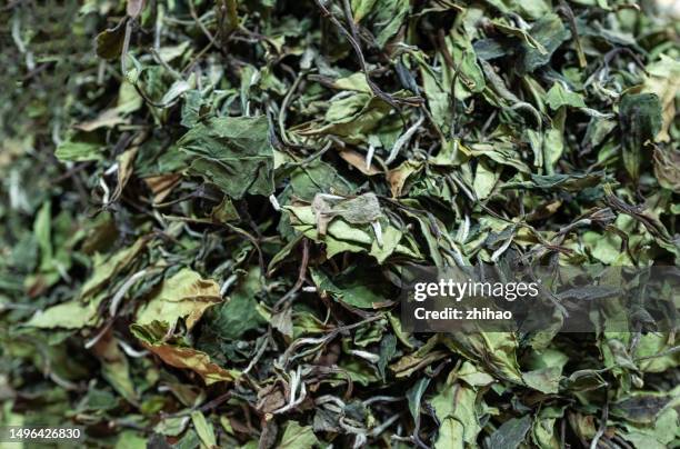 chinese dried tea - chá branco imagens e fotografias de stock