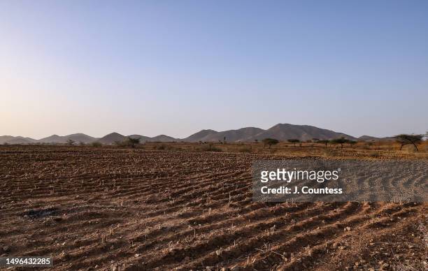Section of some of the harvested farmlands around the city of Barentu as seen on May 21, 2023 in the Gash Barka Region of Eritrea. When crops are in...