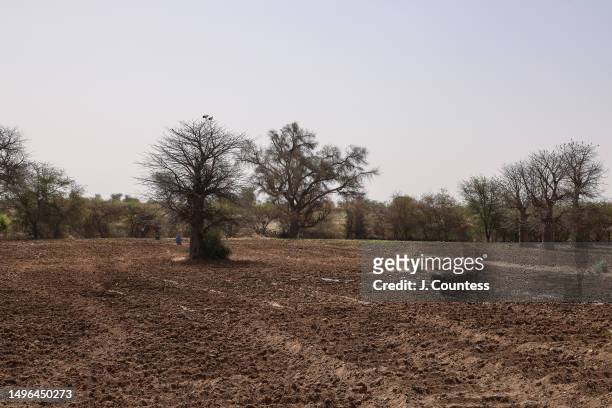 Field hand tills the ground at a local farm on the edge of the city of Barentu on May 21, 2023 in the Gash Barka Region of Eritrea. Agricultural...