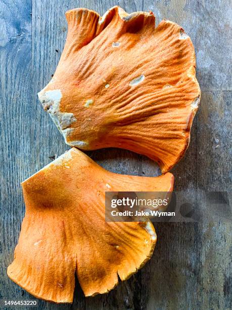 foraged lobster mushrooms on a wooden table. - hypomyces-lactifluorum fotografías e imágenes de stock
