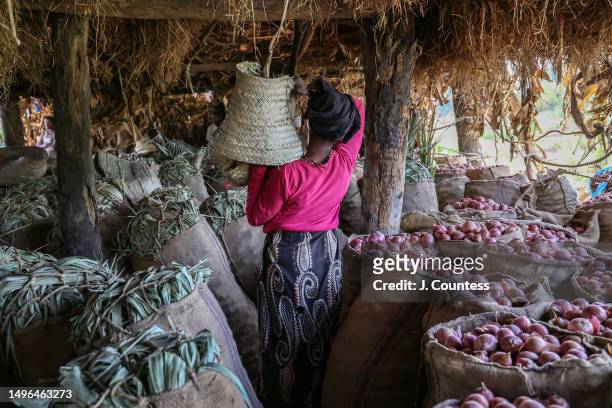 Farm worker carries a basket of onions to be packed for shipment to the market at Akordat while at one of 147 Banana plantations on the Barka River...