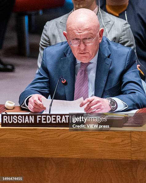 Robert Rudich Permanent Representative of the Russian Federation to the United ...