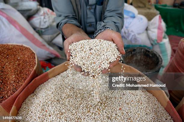 Yemeni vendor displays various types of grains for sale in his shop at a market on June 06, 2023 in Sana'a, Yemen. Yemen, the Arabian poorest...