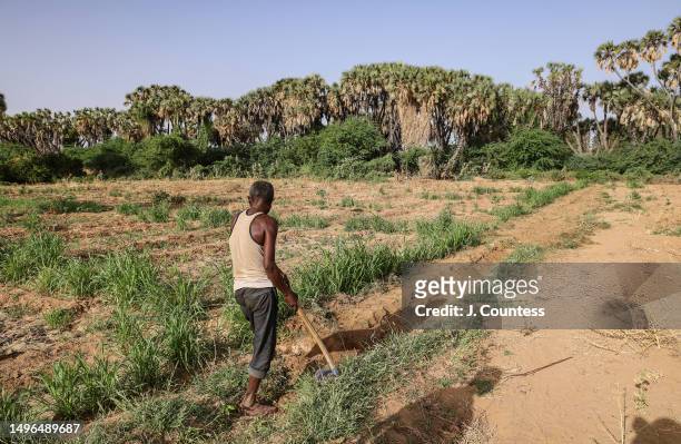 Field hand tills land on a banana plantation owned by local farmer Efraim Tesfolde Terfe on the Barka River on May 22, 2023 in Akordat, Eritrea. Mr....