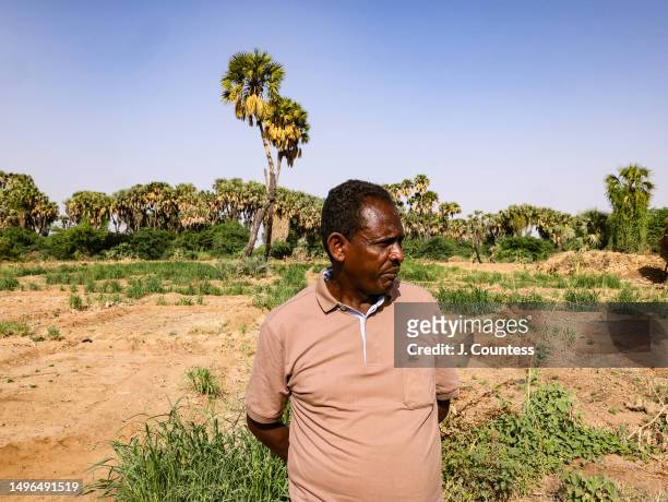 Head of the Subzone at the Ministry of Agriculture Tedrows Zegerish pauses after walking through a citrus grove at a banana plantation managed by...