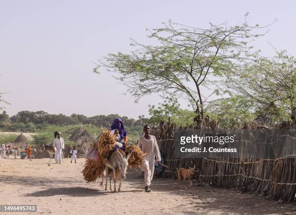 Residents of Akordat walk on the outskirts of the town on the Barka River on May 22, 2023 in Akordat, Eritrea. The plantations and farms in the...