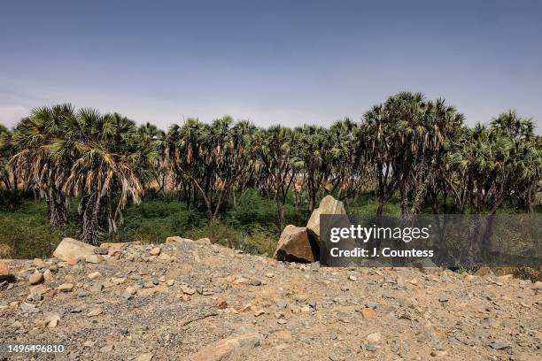 Gash Barka Region Photos and Premium High Res Pictures - Getty Images