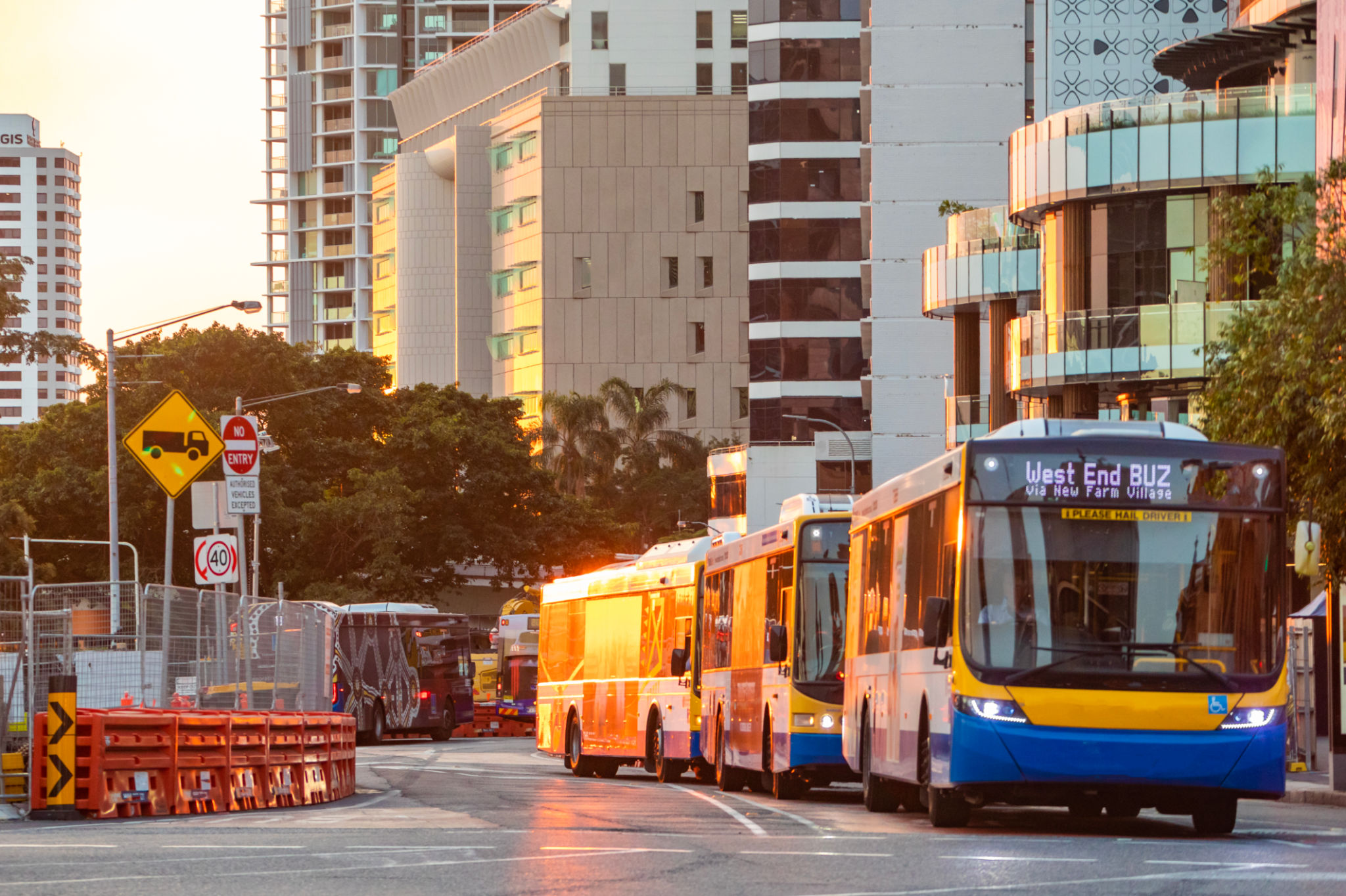 Brisbane bus