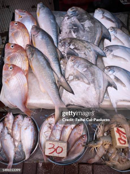 mullet fish, red snapper fish, pampus argenteus fish and shrimps for sale at seafood market in wan chai - argenteus stock pictures, royalty-free photos & images