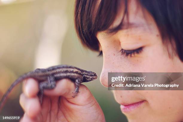 lizard love - alleen jongens stockfoto's en -beelden