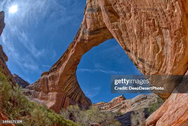 sipapu bridge arch across white canyon, natural bridges national monument, san juan county, utah, usa - natural bridges national park fotografías e imágenes de stock