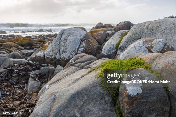 mauritzbaai, jacobsbaai, western cape, south africa - baai 個照片及圖片檔